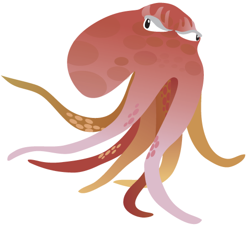 octopus
