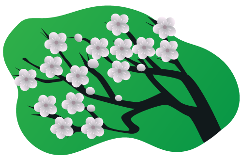 plum blossom tree on green background