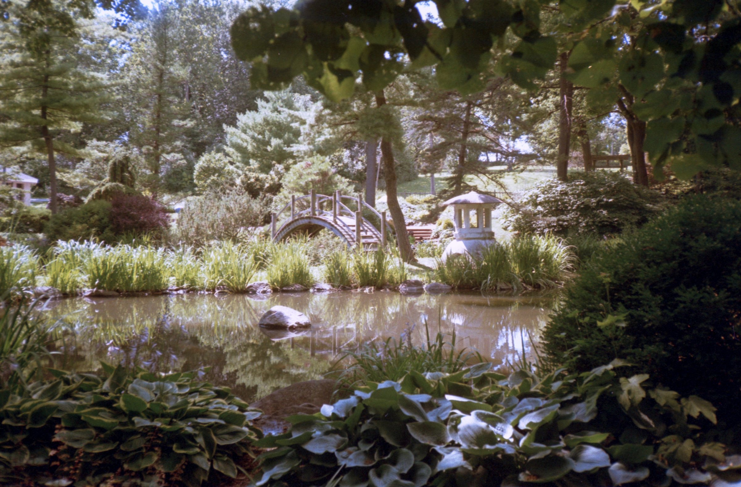 japanese gardens