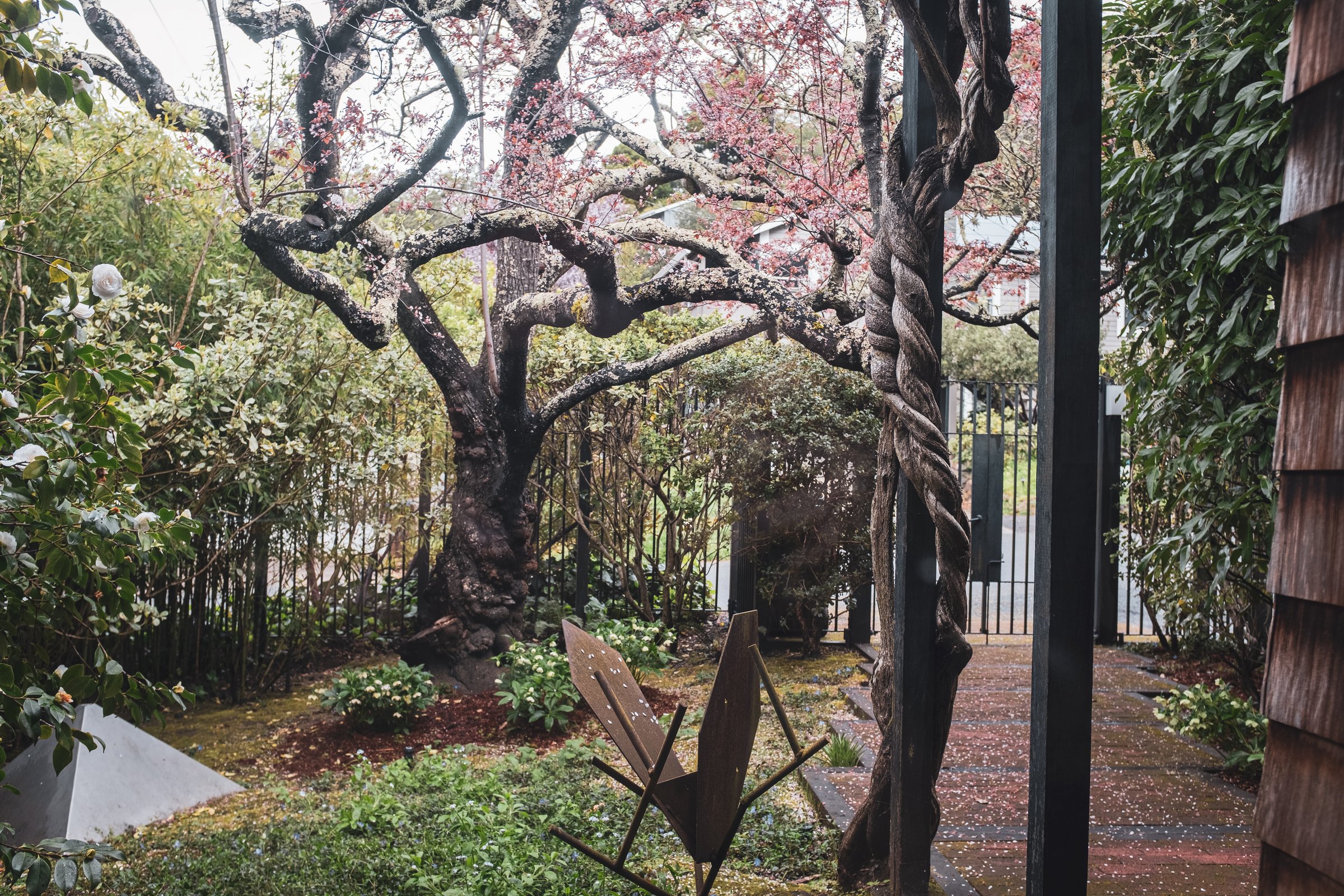 mill valley hideout