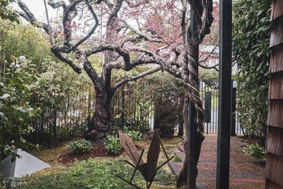 mill valley hideout