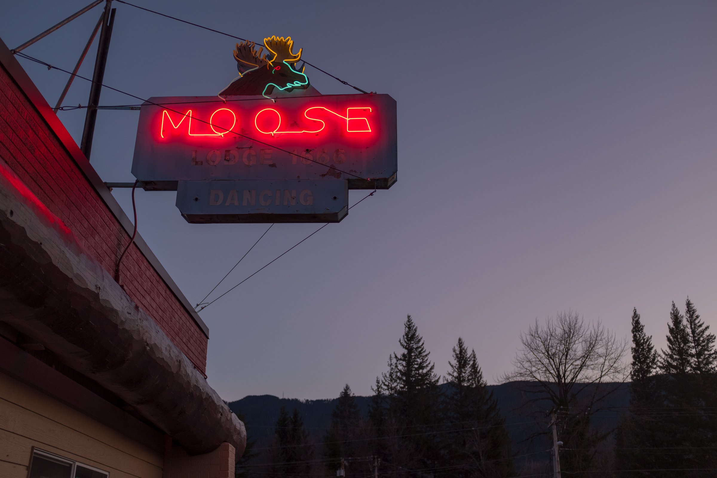 moose lodge, north bend