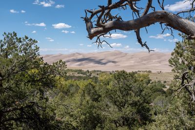 sand dunes